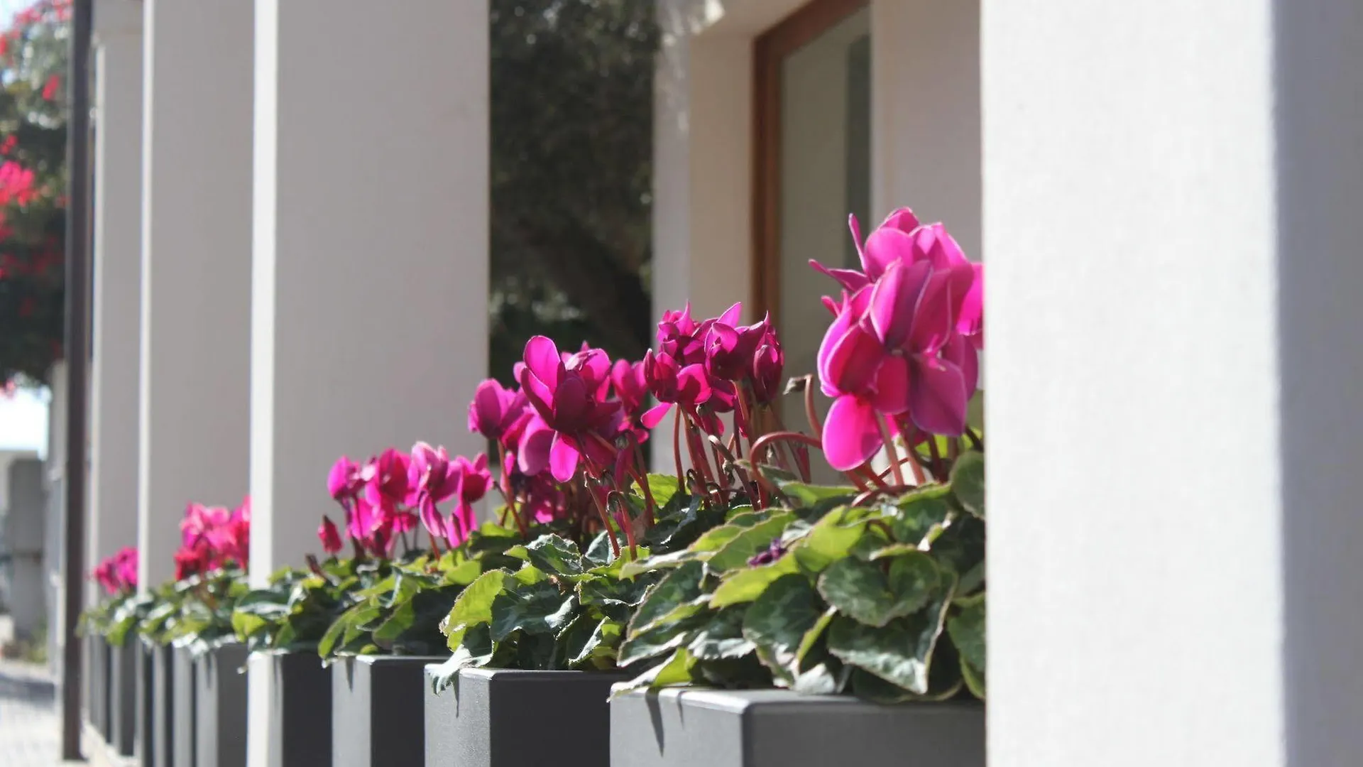 Hotel Angedras Alghero
